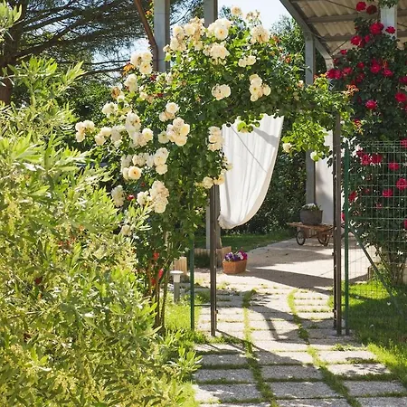 公寓 A Borgoparvo Countryvilla Casa Petromilli